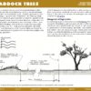 Trees on the Treeless Plains eBook - Image 7