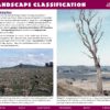 Trees on the Treeless Plains eBook - Image 2