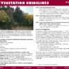 Trees on the Treeless Plains eBook - Image 4