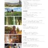 Pip Magazine: Australian Permaculture - Issue: 3 - Image 2