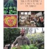 Pip Magazine: Australian Permaculture - Issue: 3 - Image 9