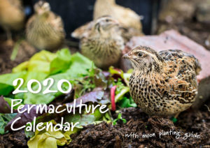 2020 Permaculture Calendar cover