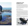 Milkwood - Image 6