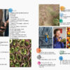 Pip Magazine: Australian Permaculture - Issue: 12