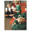 Permaculture Action Cards - Image 6