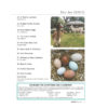 Australasian Poultry Vol 31: No 5 - Dec 2020 - Image 3