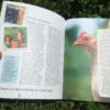 Costa's World - Image 4