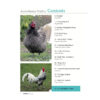 Australasian Poultry - Vol 32: No 2 June/July 2021 - Image 2