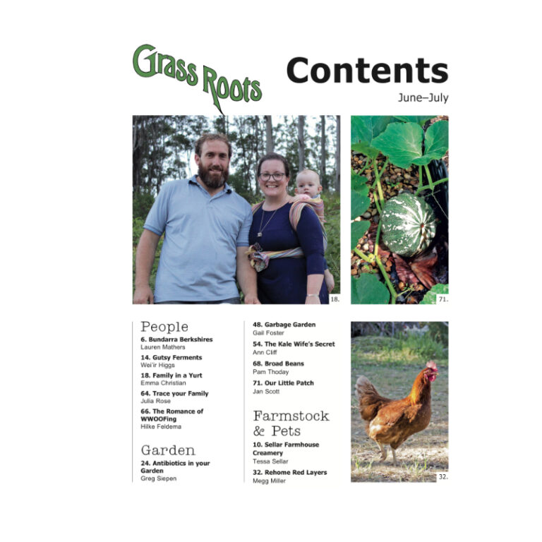 Bluegrass Roots Magazine Grass Roots Magazine - No. 265 June/July 2021