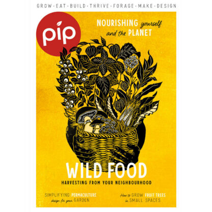 Pip Magazine 25 - Cover