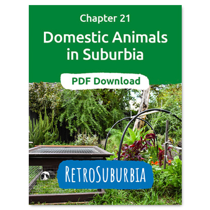 Domestic animals in suburbia